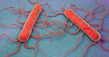 W USA walczą z nową epidemią. Większość chorych to Rosjanie