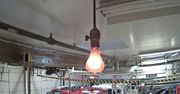 Najdłużej świecąca żarówka na świecie. Centennial Light działa od 1901 roku