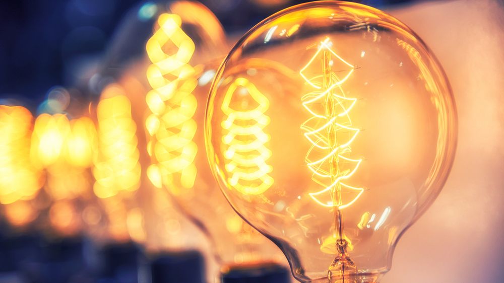 (fot. Shutterstock.com)