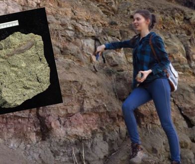 "Bestia z Valče". Czesi odkryli nieznany gatunek zwierzęcia