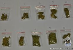 Wałbrzych. Walka z dilerami narkotykowymi. 12 osób zatrzymanych