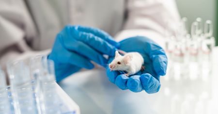 Dieta ketogeniczna zwiększa ryzyko raka? I tak, i nie. Naukowcy tłumaczą