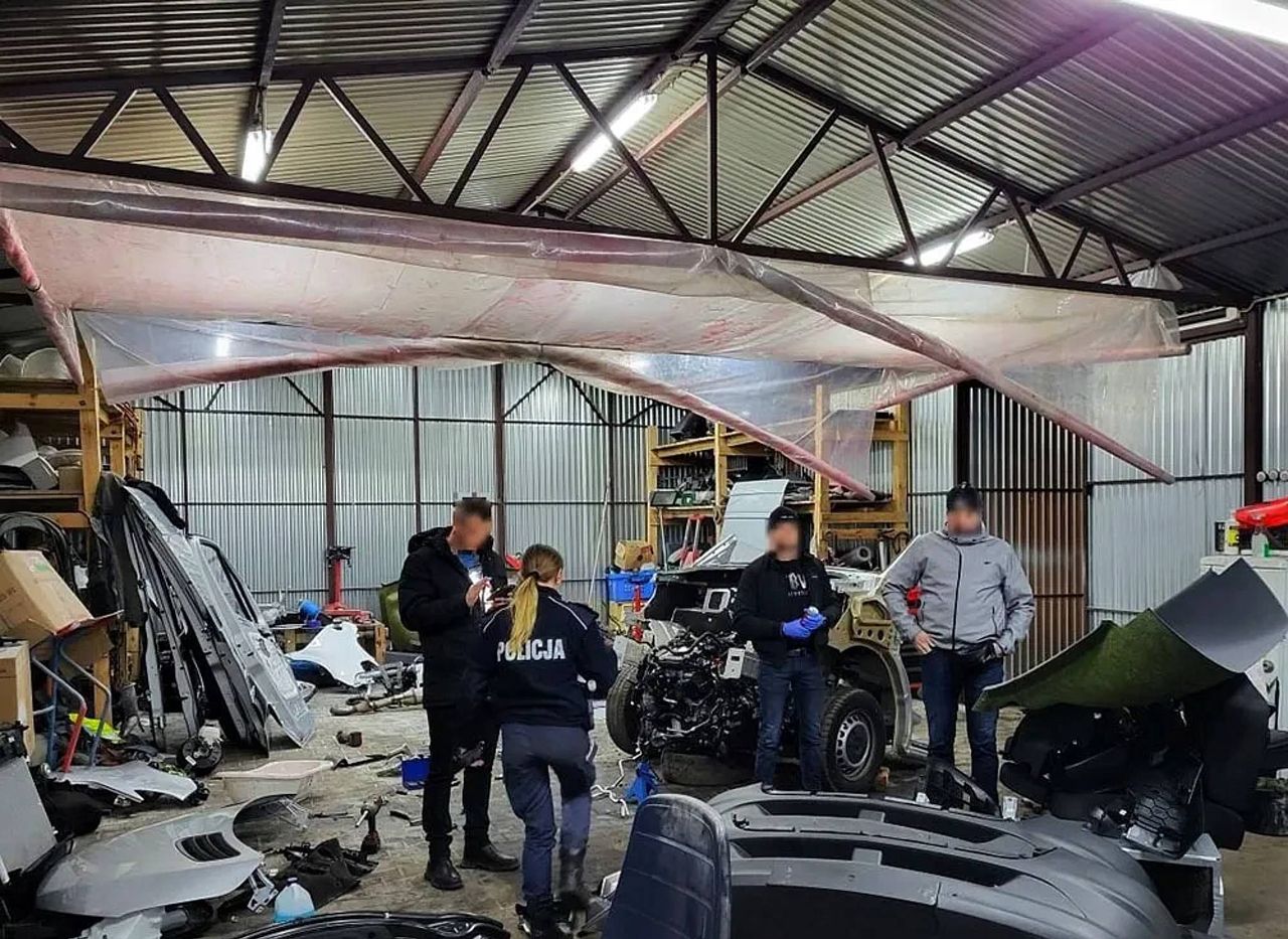 Policjanci weszli do "dziupli", kiedy tam rozkręcali dwa mercedesy warte pół miliona złotych