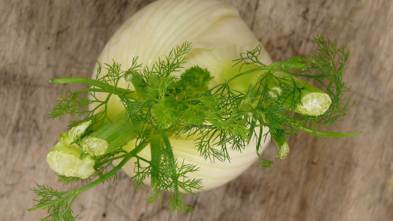 Olejek z kopru włoskiego ma właściwości antynowotworowe