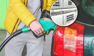 Schowali alkohol przed klientami. Mówią, jak wpłynęło to na sprzedaż