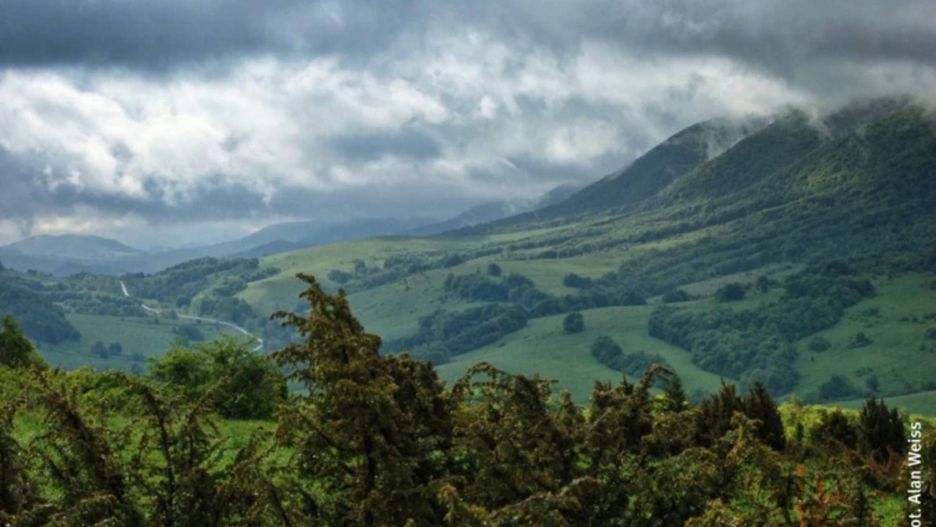 Bieszczady