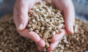 Tyle będzie kosztować pellet? Jest prognoza. Ceny podskoczą