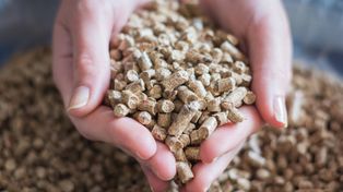 Tyle będzie kosztować pellet? Jest prognoza. Ceny podskoczą