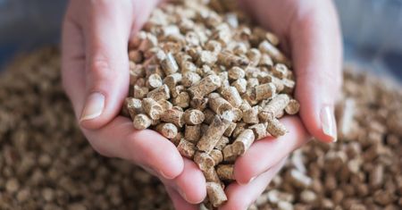 Tyle będzie kosztować pellet? Jest prognoza. Ceny podskoczą