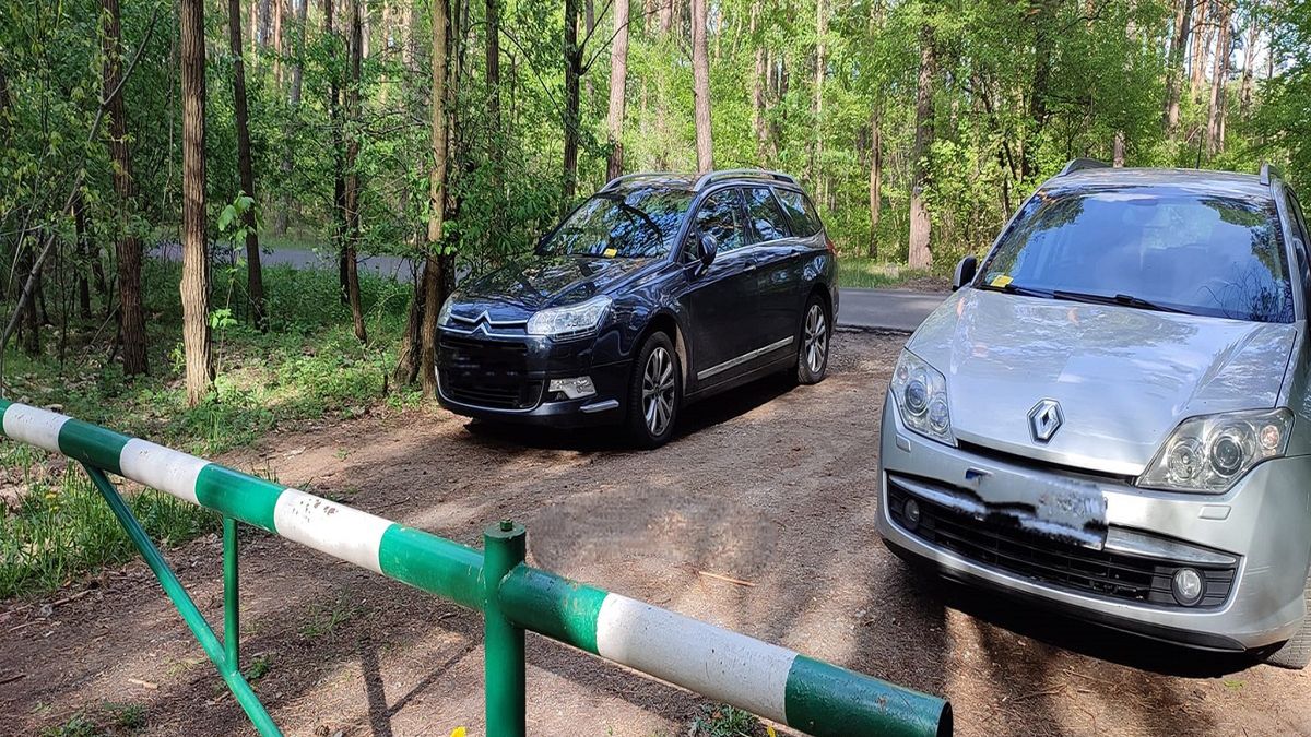 Nie parkuj tak auta. Leśnicy pokazali, co się stało