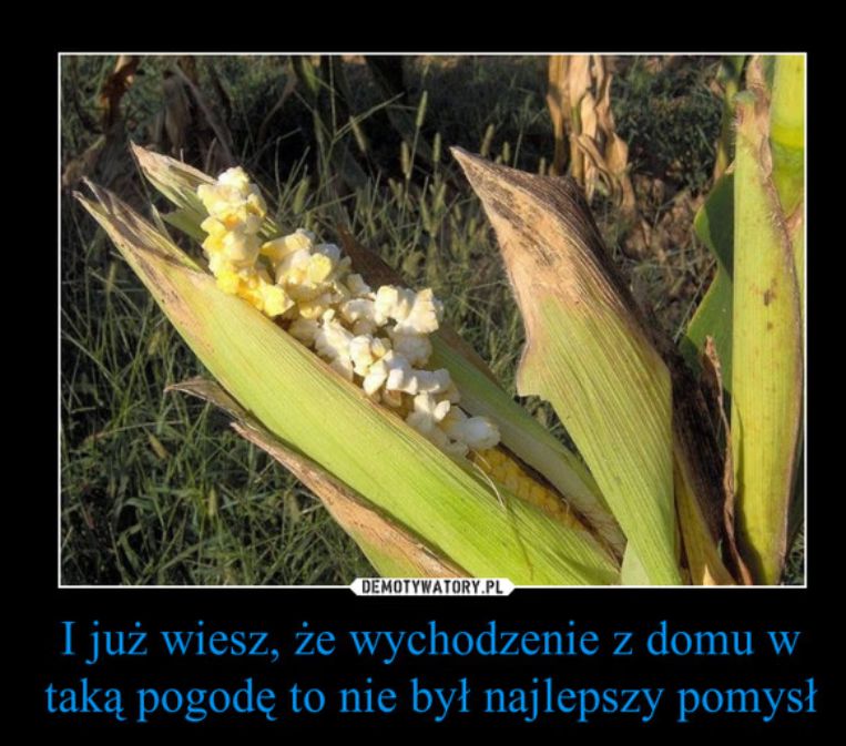 Mem o upałach