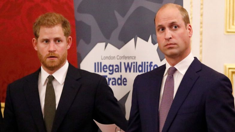 Powstała książka o konflikcie Williama i Harry'ego