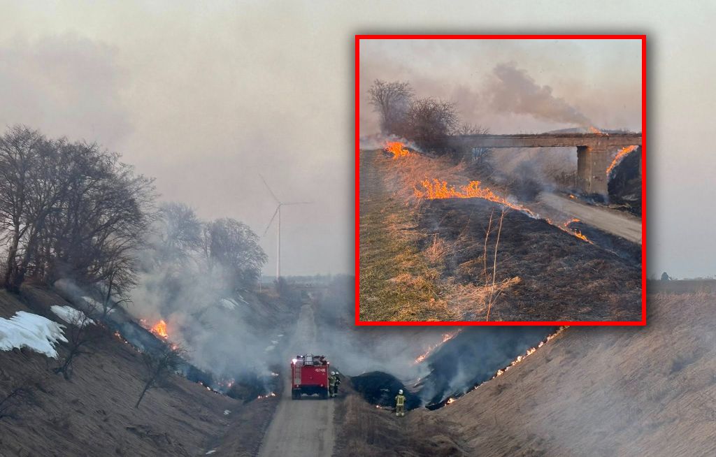 Znowu się zaczęło. Ręce opadają. Pokazali zdjęcia
