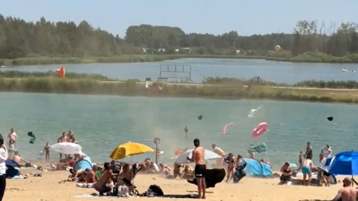 Niecodzienna sytuacja w Janowie Lubelskim.