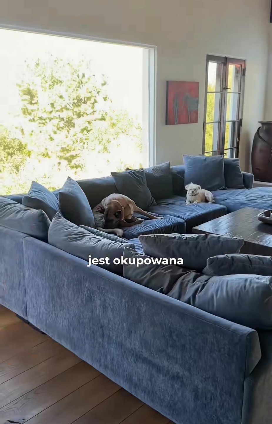 Tak mieszka Joanna Krupa w USA