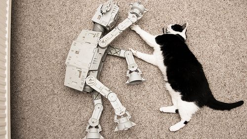 Zwykły dzień niezwykłego zwierzaka [wideo] 1