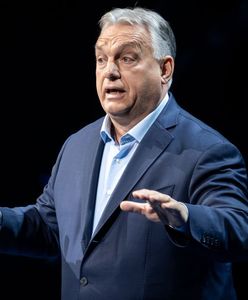 Węgrzy sceptyczni wobec Ukrainy w UE. Data badania nieprzypadkowa