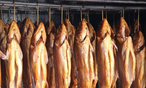 Jedz bez obaw o rtęć. W Polsce trudno o zdrowszą rybę