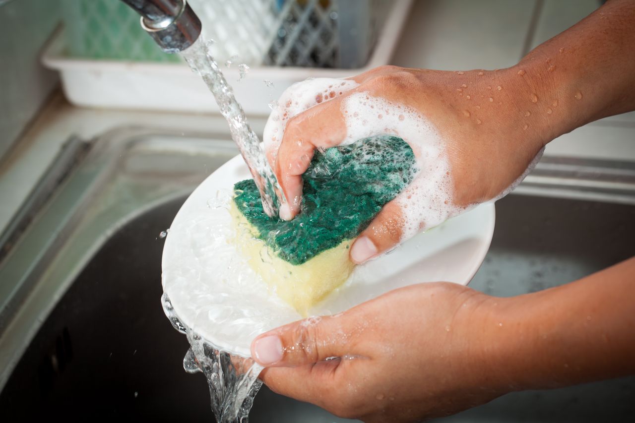 The colour of your dishwashing sponge matters more than you think. Green, red, yellow and blue sponge purposes revealed