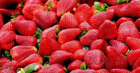 Sezon zbliża się wielkimi krokami. Cena truskawek będzie rekordowa wysoka?