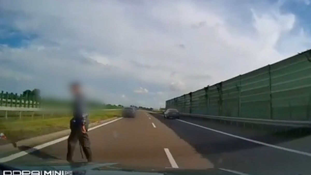 Senior na drodze ekspresowej S12/S17 pod Lublinem