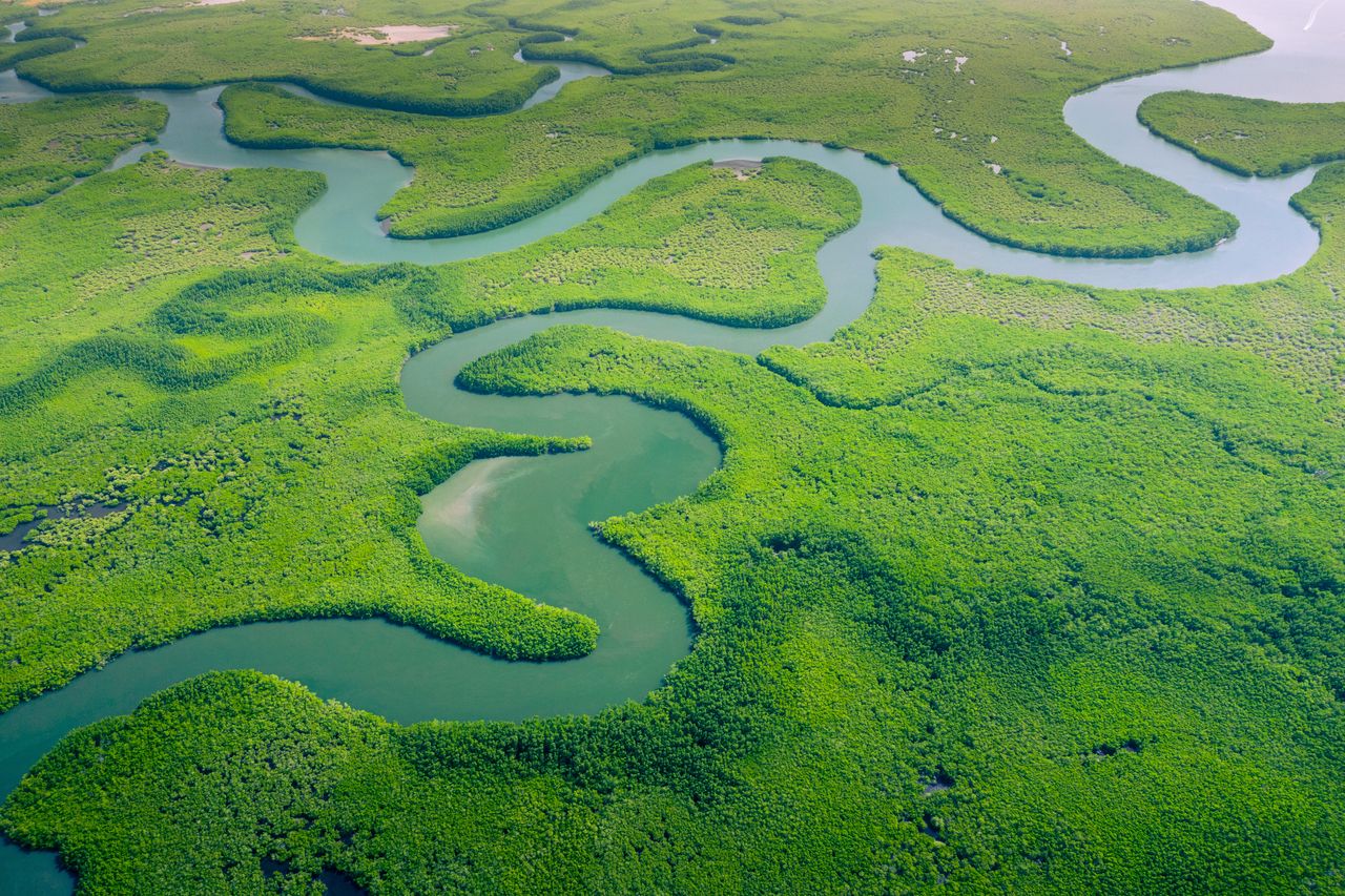 Some parts of the Amazon jungle may not be as old as we think.