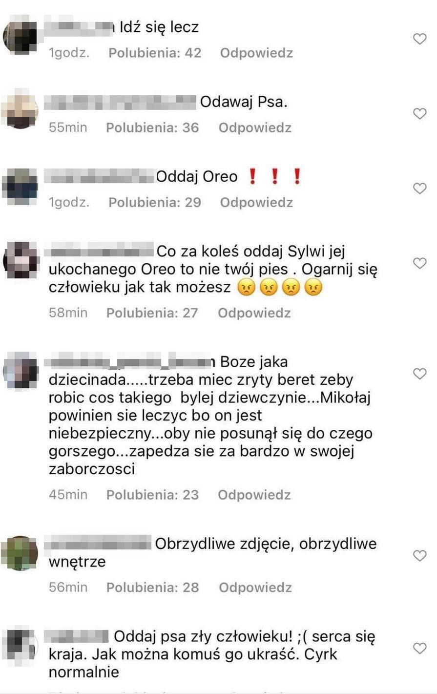 Mikołaj Jędruszczak w ogniu krytyki za uprowadzenie psa