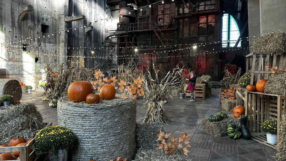 fuzja lodz, farma dyń, kotłownia