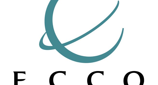 Ecco Network inwestuje w badania rynkowe