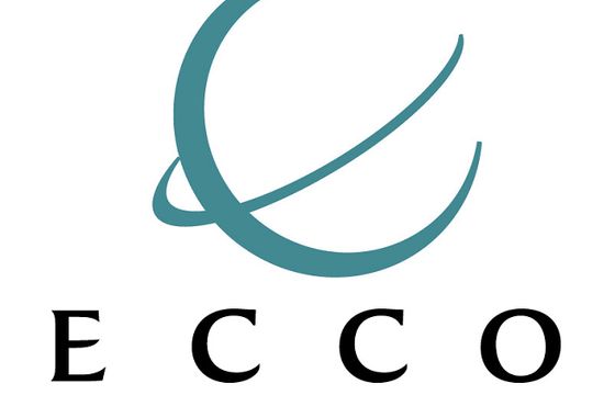 Ecco Network inwestuje w badania rynkowe