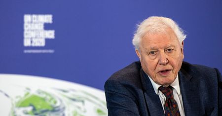 David Attenborough na Instagramie. Pobił rekord Guinnessa w osiąganiu miliona obserwujących