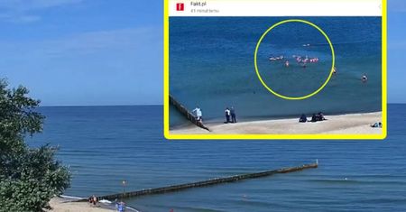 Uchwyciły ich kamery. Turyści kąpią się w Bałtyku
