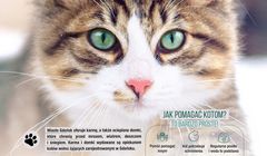 Olmeka realizuje kampanię Gdańska dotyczącą kotów