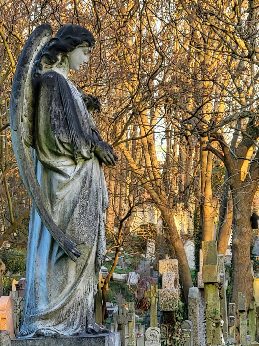 Cmentarz Highgate ma już blisko 200 lat