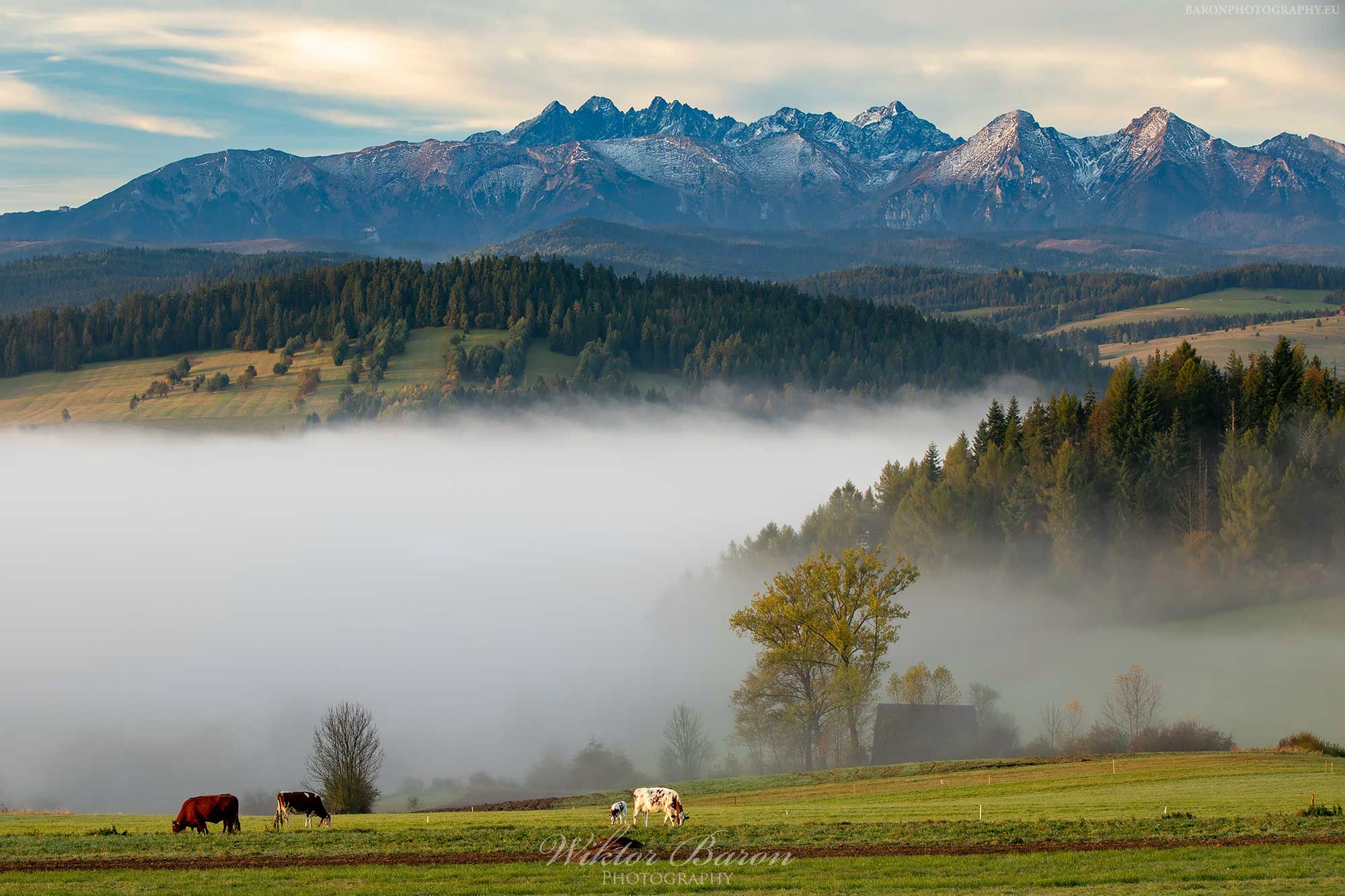 10 najpiękniejszych miejsc do fotografowania w Pieninach 35