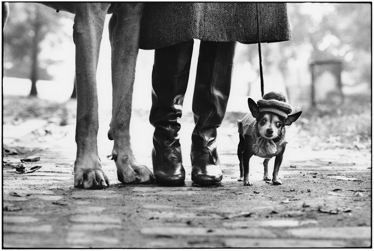 Elliott Erwitt - "Woody Allen świata fotografii" [inspiracja] 3