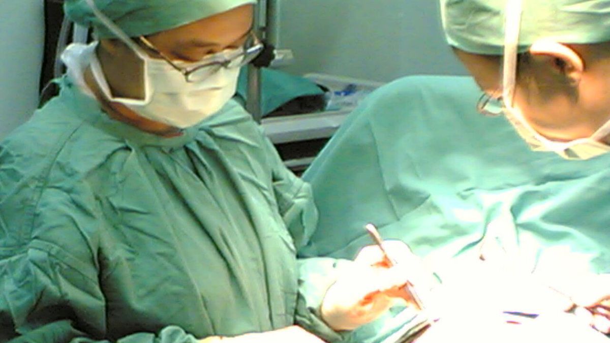 Kolejny przełom w hodowli narządów 1