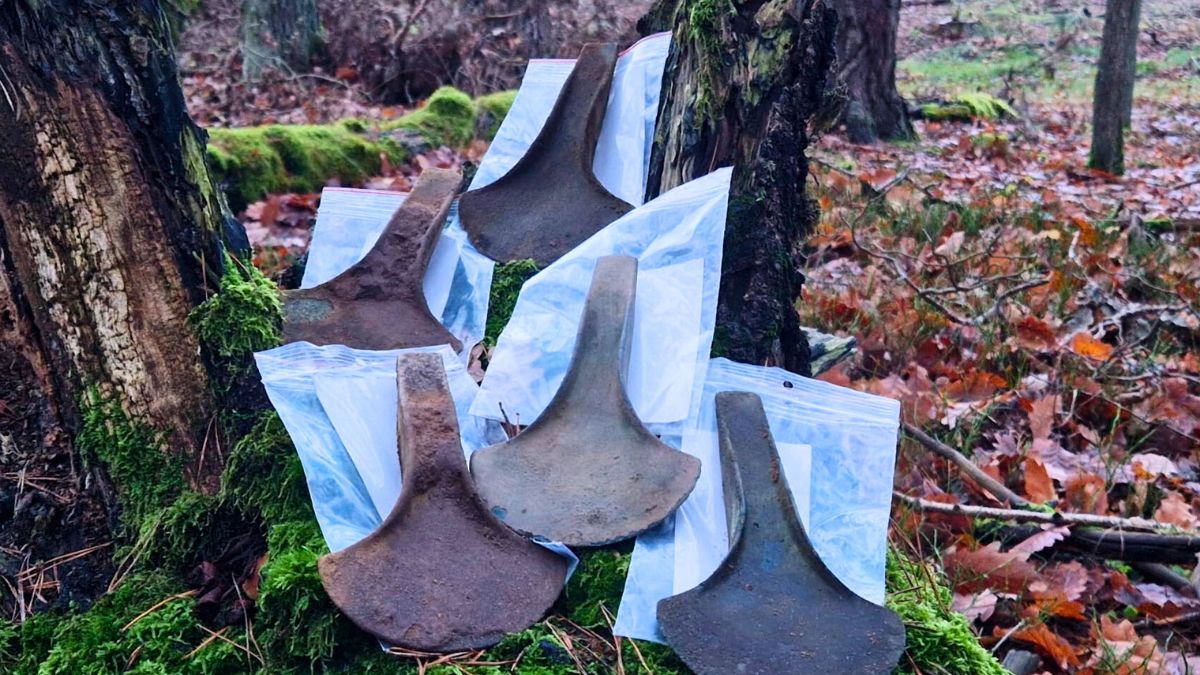 To odkrycie na północy polski to rarytas dla historyków.  