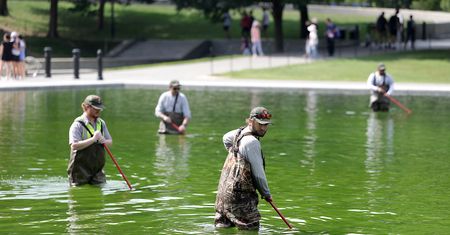 Trump zarządził renowację. Glony się nie przejęły