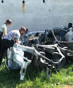 Rozpracowano "dziuplę". Przez lata kradł w Niemczech