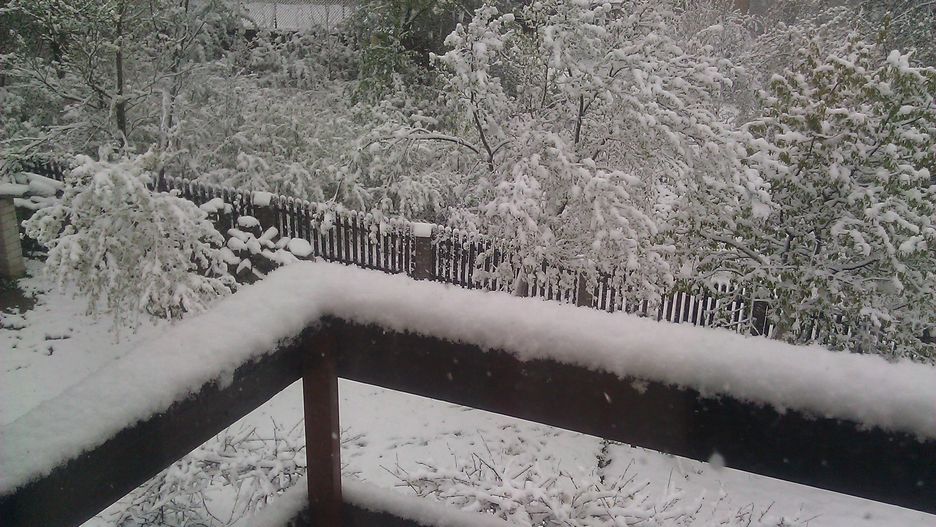 Pogoda. Śnieg spadł w miejscowości Sejny