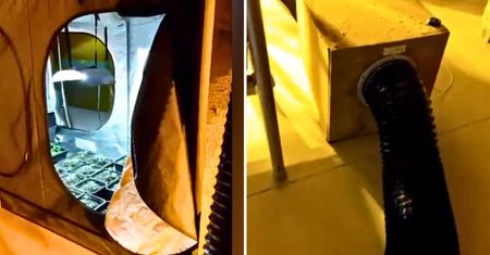 Odkrycie na poddaszu w Jaworznie. Właściciel niczego się nie spodziewał