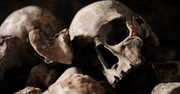 "Wampirzyca" z Pnia ujawni swoje oblicze. Pomoże w tym słynny archeolog-rzeźbiarz