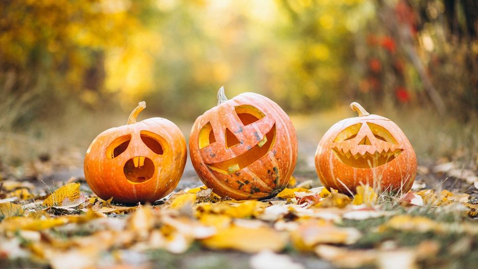 Dynie są symbolami Halloween.