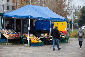 Niedziela handlowa 2020. Czy uda nam się dzisiaj zrobić zakupy?