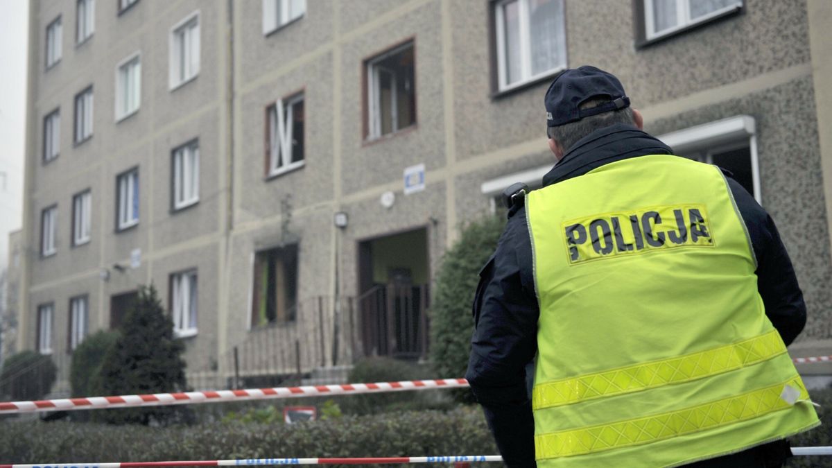 Zdjęcie poglądowe.