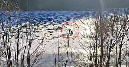 Szokujące nagranie z Czech. Weszła na taflę lodu z wózkiem dziecięcym