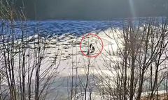 Szokujące nagranie z Czech. Weszła na taflę lodu z wózkiem dziecięcym