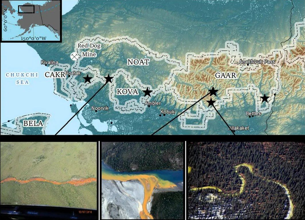 Mapa obserwacji "rdzewiejących" strumieni w parkach Arctic Inventory and Monitoring Network (ARCN) na północy Alaski
