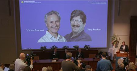Nagroda Nobla w medycynie i fizjologii. Poznaliśmy laureatów